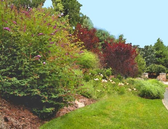 A slope with colorful plants.