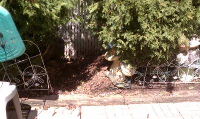 Help Neighbor Changed Grade To Flood My Backyard
