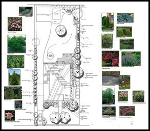 Landscape design with plant photos