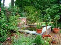 See professional landscape pictures.