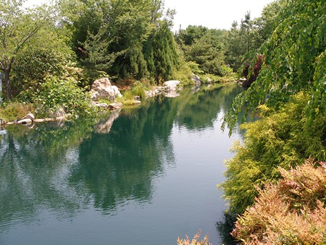 Pond with boulders.