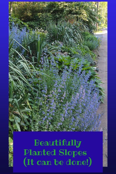 Planting steep slopes can be fun and beautiful.