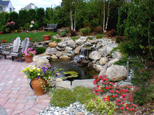 A water garden waterfall near a pool.